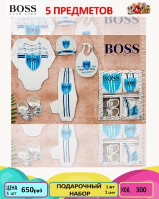 BOSS 300-/0-6M/-1