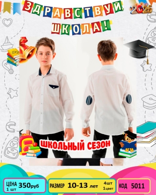 WISE 5011-/10-13Y/-4