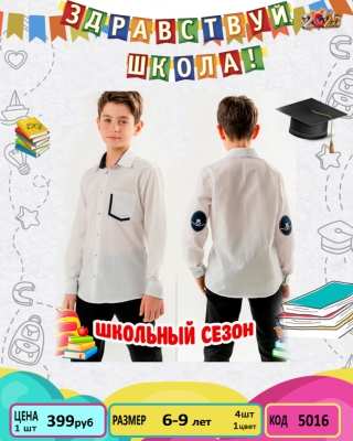 WISE 5016-/6-9Y/-4