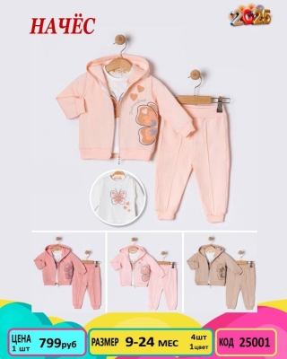 ZEROLADY 25001-/6-24M/-4