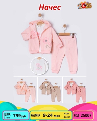 ZEROLADY 25007-/6-24M/-4